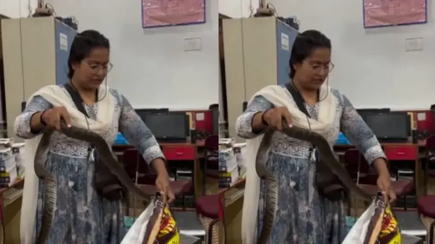 Girl catches snake with bare hands, video will send chills down your spine; watch