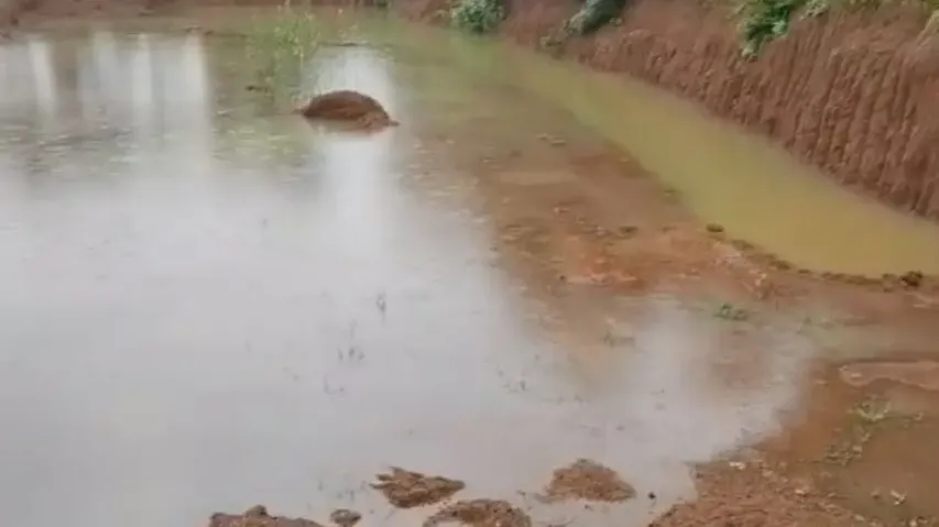 3 children drown to death in morrum quarry in Keonjhar