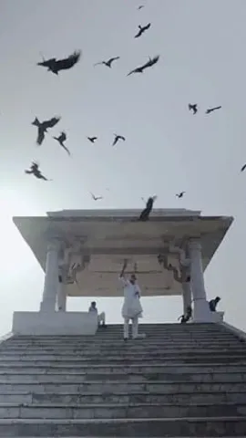 Top 8 Must-Watch Indian Documentaries Available On OTTs