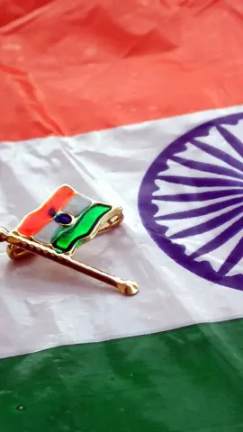 Independence Day 2024: 6 Decor Ideas to Create Patriotic Vibe at Home
