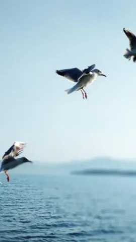 Top 6 Tourist Destinations To Explore in Odisha’s Jharsuguda District