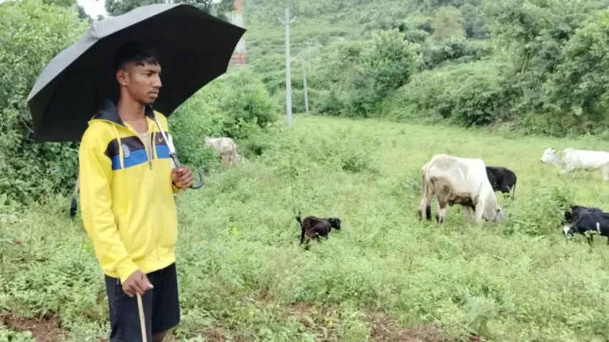 Odisha's Tribal Boy Cracks NEET In First Attempt