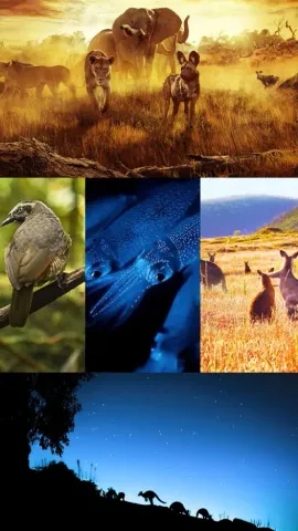 Top 7 Wildlife Documentaries On Netflix For A Family Watch Together 