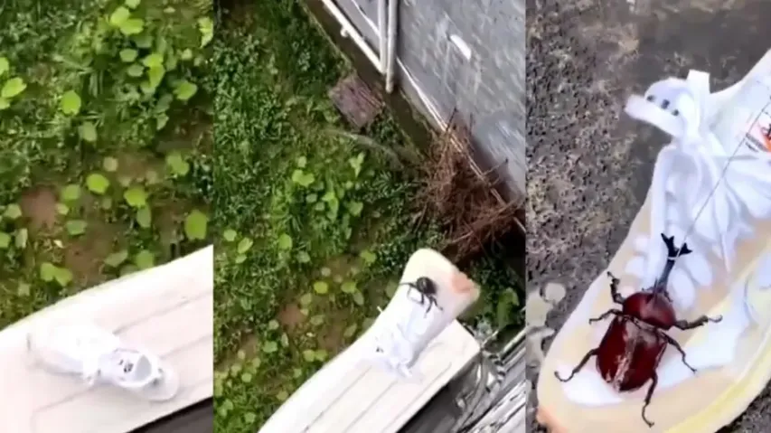 Bug or anchor! Youth's 'desi jugad' to get work done amazes internet, watch