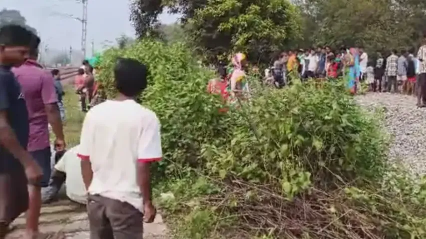 Elephant calf mowed down by goods train in Rourkela
