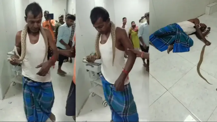 Shocking! Man arrives at hospital with venomous snake that bit him, watch