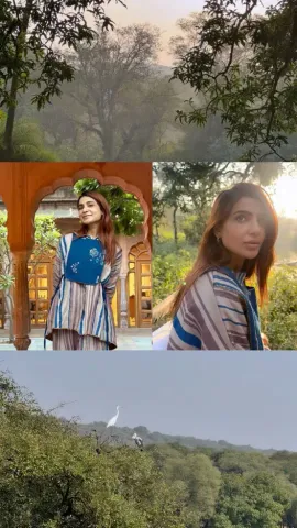 Samantha Ruth Prabhu Roams In The Wilds of Ranthambore Tiger Reserve In Rajasthan; Check Pics