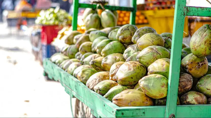 'Only Rs 55!' Bengaluru coconut seller mocks online stores with apt ad