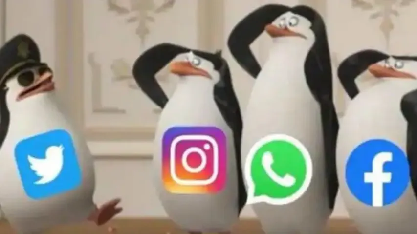 Social media platforms