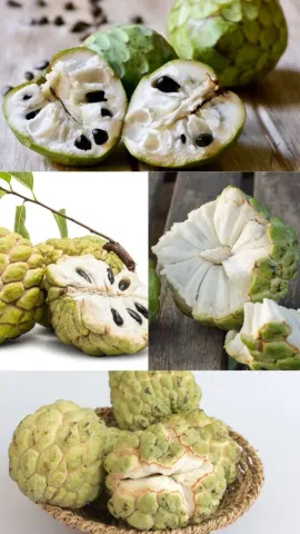 6 Surprising Benefits Of Eating Custard Apple 