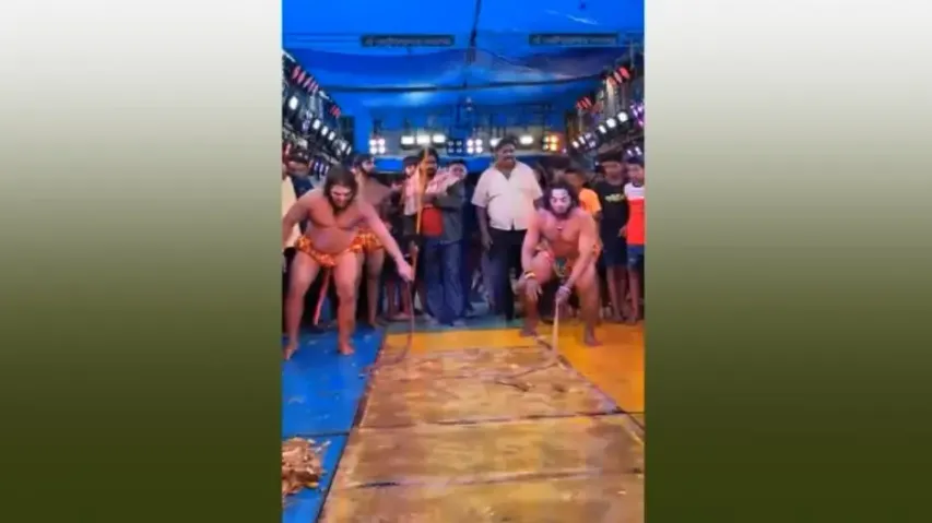 Actors 'kill pig, consume body parts' on stage during cultural performance in Ganjam, spark outrage