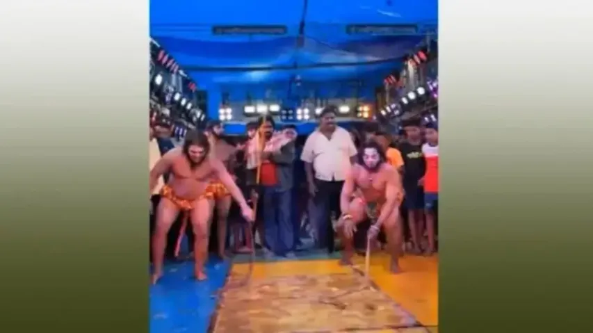 Animal cruelty in Odisha: Actor arrested for 'consuming' live pig on stage