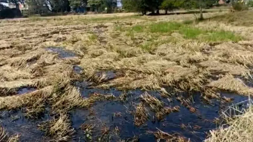 Extended deadline brings limited relief to farmers battling registration issues