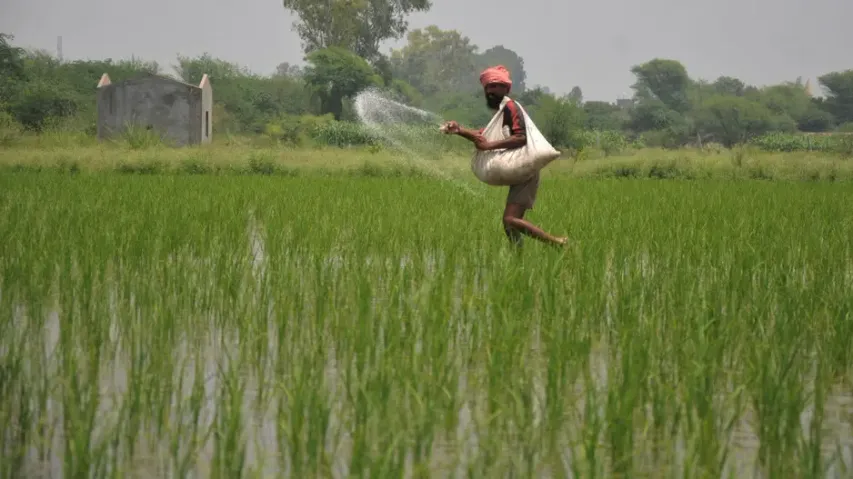 Cabinet okays extension of subsidy on DAP fertilizer for farmers