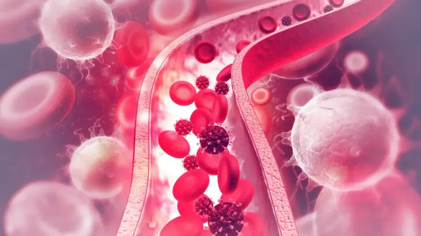 Understanding HMPV: What you need to know about this respiratory virus