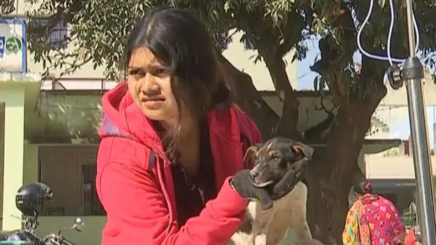 Pets in danger! Concern mounts as Parvovirus spreads in Odisha