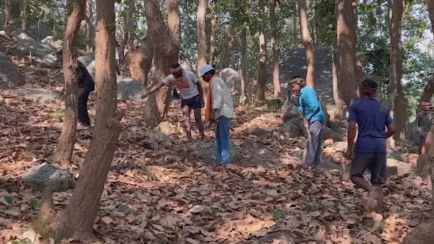 Villagers in Gajapati ensure forest preservation amid fire threat 