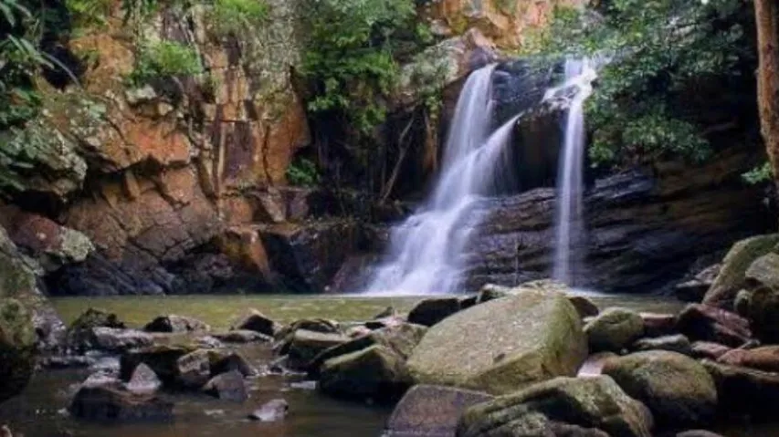 Two Odisha medical students die after being swept away in waterfall