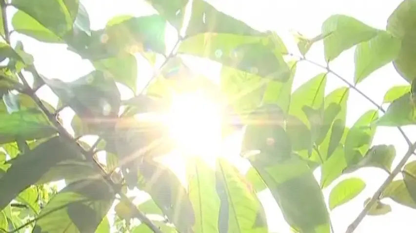 Temperature touches 35 degree-mark in Bhubaneswar by 2:30 pm today