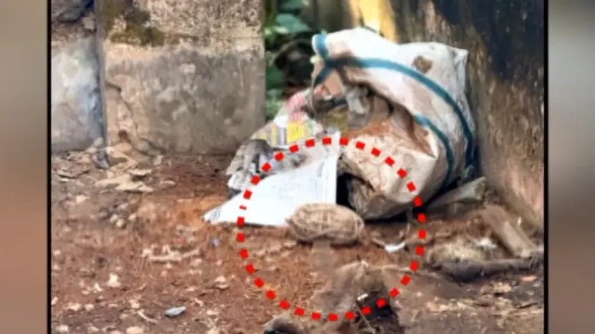 Bomb explosion in Puri