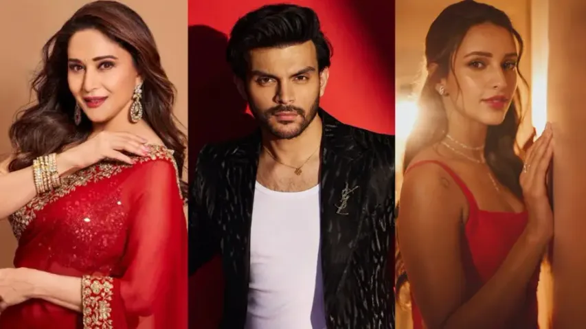 Madhuri Dixit Triptii Dimri dramedy Ma Behen Veer Pahariya in talks for male lead