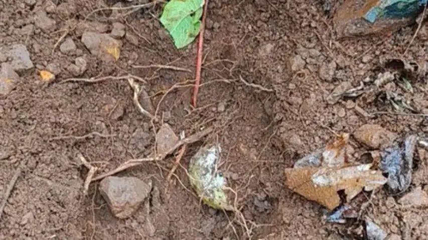 IED seized in Jharkhand