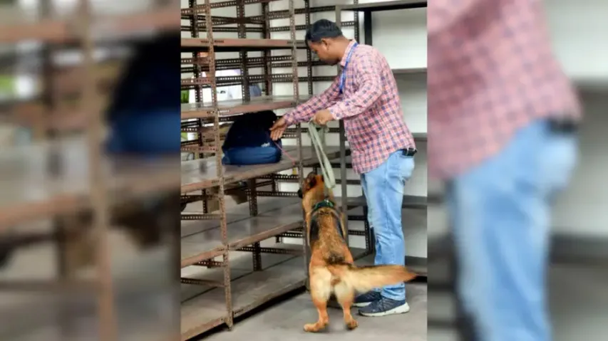 Bomb threats hit over 45 Delhi schools