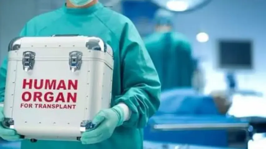 Human organ transplant 