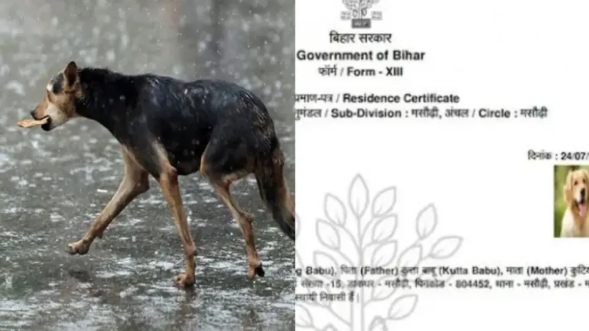 Dogesh Babu’ gets residence certificate in Bihar