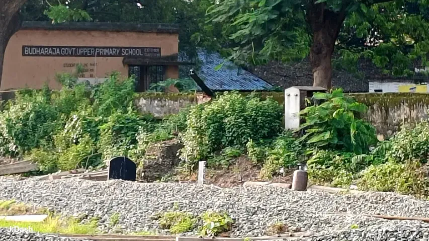 Student dies after electricity utility pole falls on him near school premises