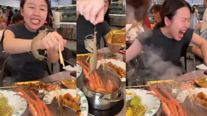 Chinese girl’s attempt to eat Mantis Shrimp alive ends in painful surprise, watch