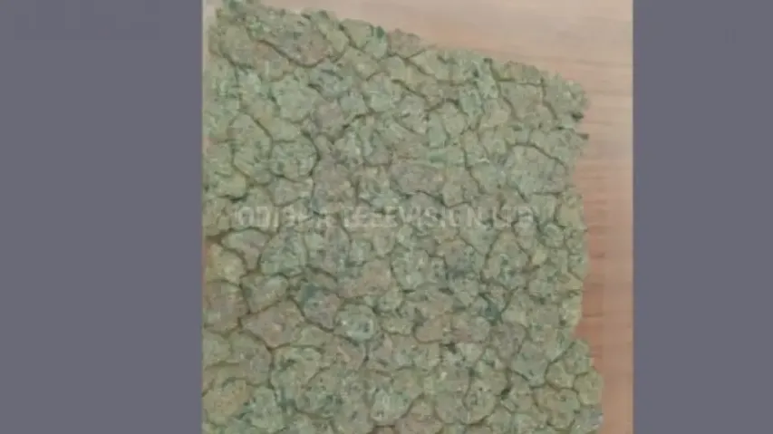 Marijuana worth Rs 4 crore seized at Bhubaneswar Airport, couple held