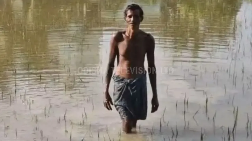 Flooded fields in Balasore leave farmers counting losses