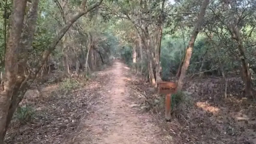 Mother-son duo missing for six days inside Odisha’s Bhitarkanika forest; massive search operation on