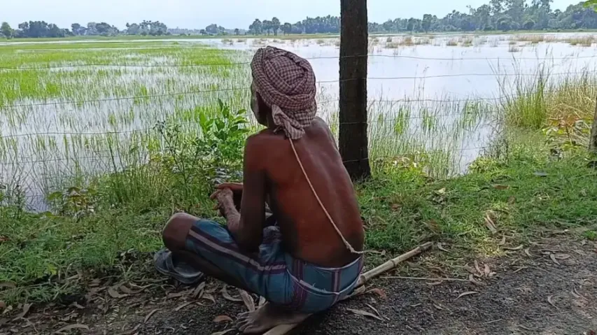 Odisha’s Bhadrak reels in distress as floods swallow farms, paddy fields; farmers allege years of no