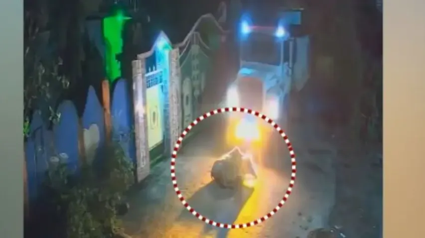 When empathy ends! Truck driver deliberately runs over cow in Jajpur