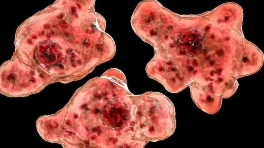 Kerala on alert as ‘Brain-Eating Amoeba’ kills 19! How it spreads 