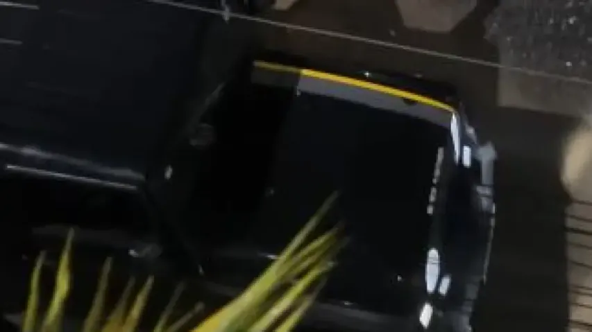 When groceries arrive in style: Blinkit agent’s Mahindra Thar delivery goes viral