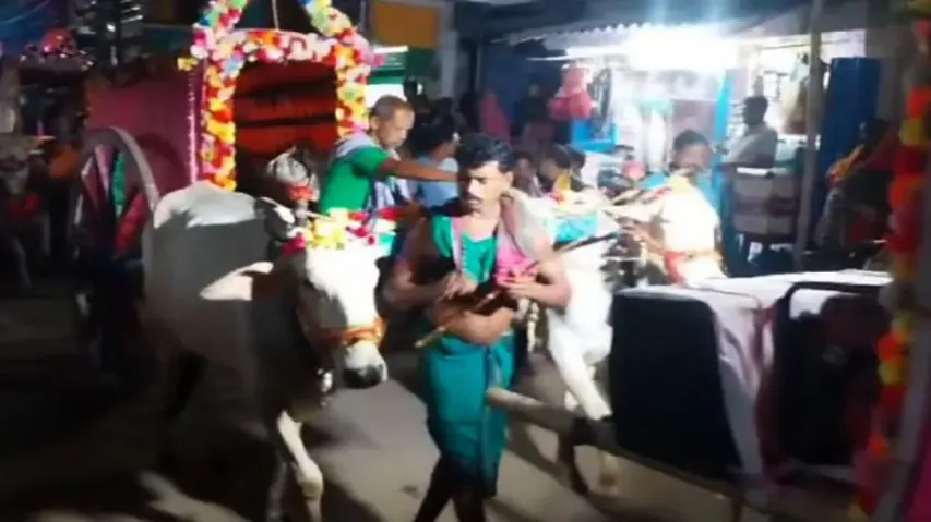 Puri’s bullock cart Ganesh immersion revives tradition, inspires eco-friendly celebrations in Odisha