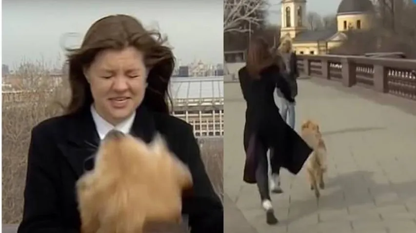 Pawsome Steal: Dog Steals Mic From Reporter During Live Broadcast | Watch