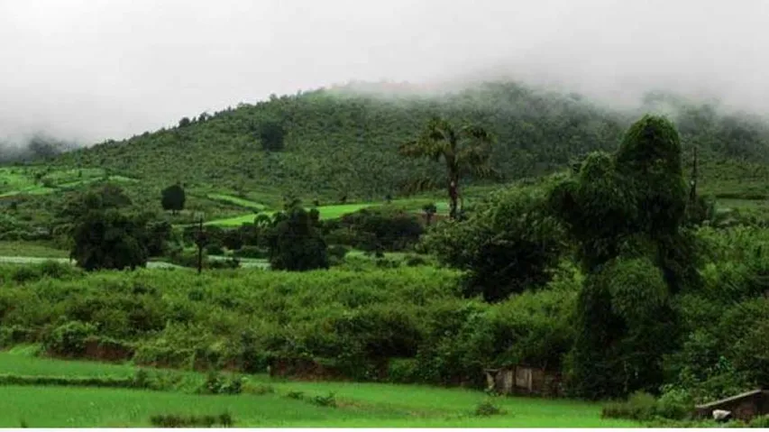 Respite from cold as mercury likely to inch up in Odisha