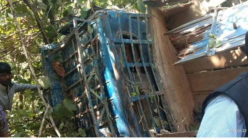 10 killed, many critical as mini-truck plunges deep after skidding off Ghat in Phulbani
