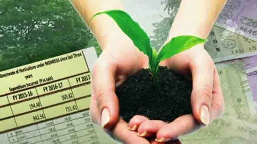 How multi-crore sapling scam took root in Odisha