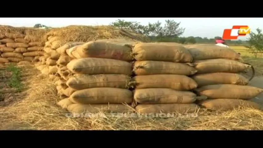 CAG report reveals irregularities in paddy procurement in Odisha