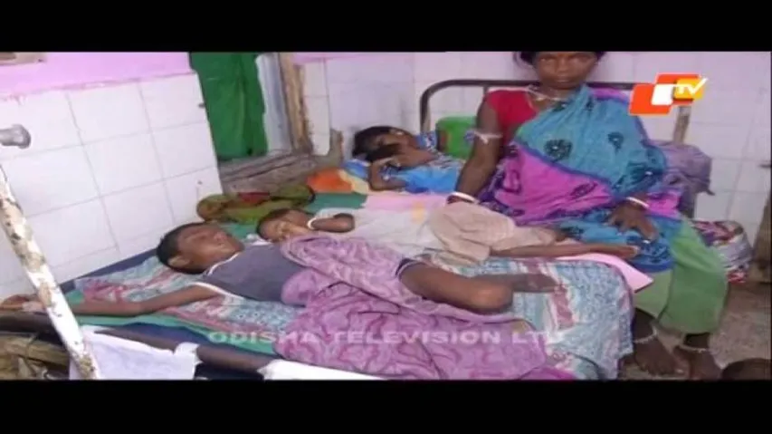 Japanese Encephalitis claims three more lives, toll climbs to 48