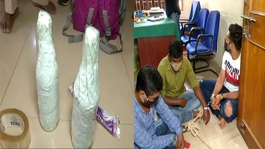 Snake Venom Racket: Is Odisha A New Transit Point For The Rare Narco Trade?