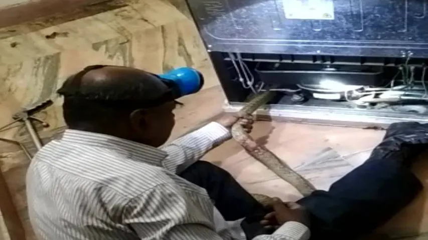 4-feet snake rescued from refrigerator in Bhubaneswar