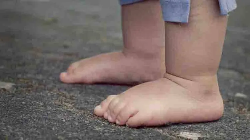 Muscle discovery decodes evolution of human feet