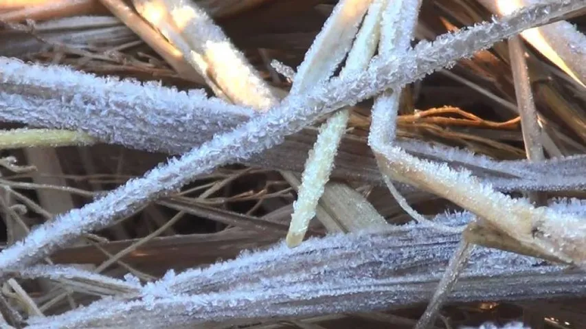 Wet spell likely to continue over Western Himalayan Region till Feb 5