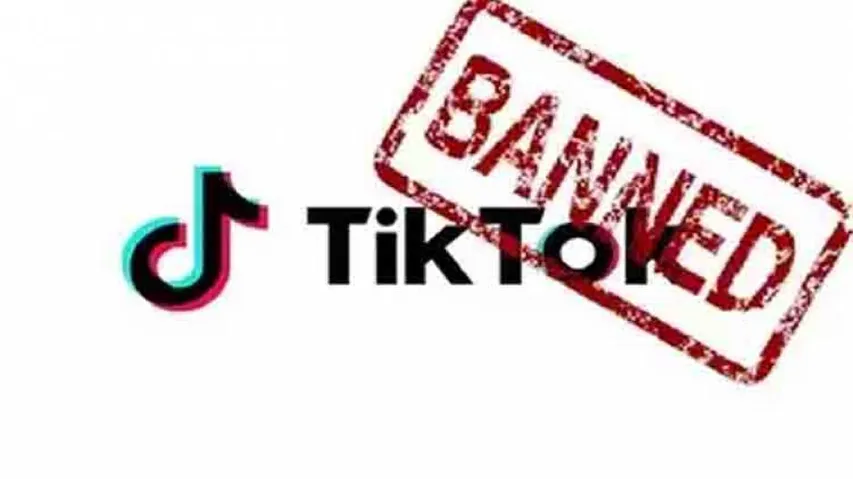 Google, Apple block TikTok download in India